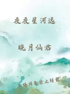 夜夜星河远