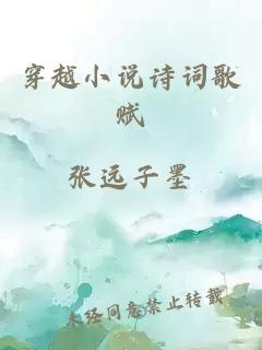 穿越小说诗词歌赋